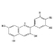 Bilberry Extract Bilberry (Vaccinium Myrtillus)