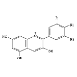 Bilberry Extract Bilberry (Vaccinium Myrtillus)